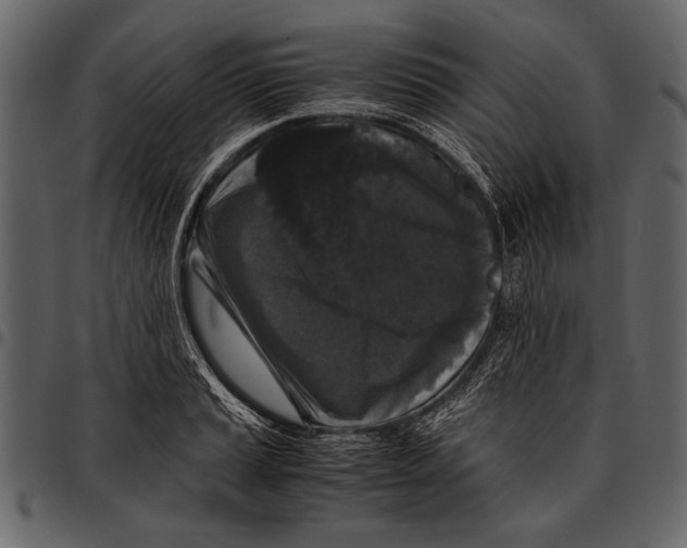 X0000097481037200803201505