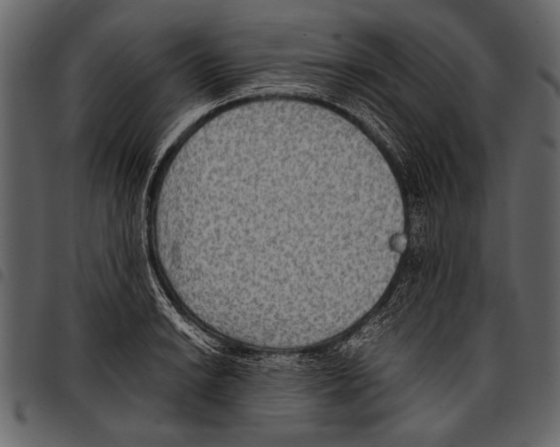 X0000097481038200803201505