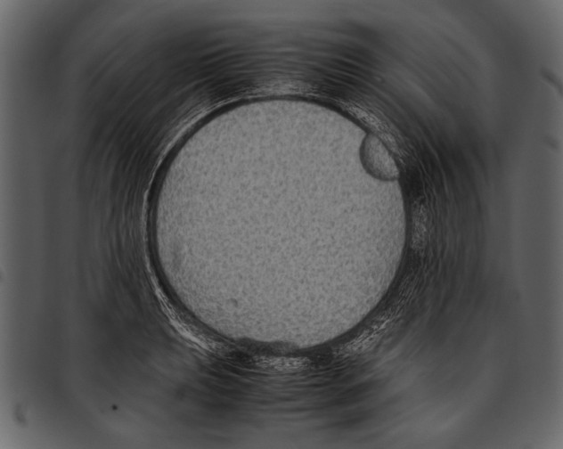 X0000097481039200803201505