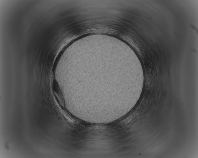 X0000097481040200803201505