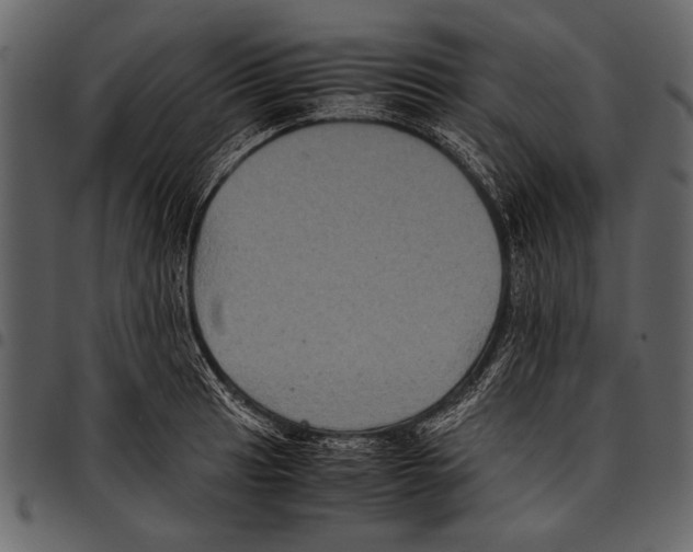 X0000097481041200803201505