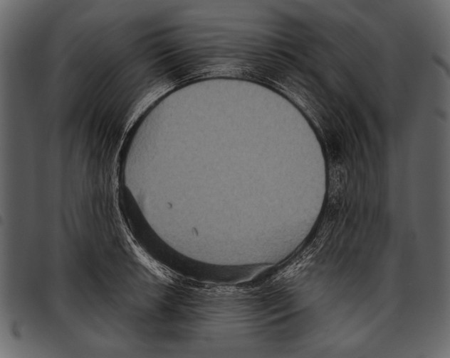 X0000097481042200803201505