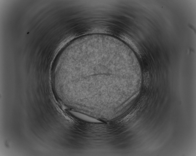 X0000097481043200803201505