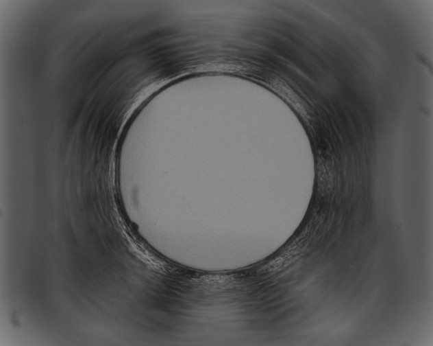 X0000097481044200803201505