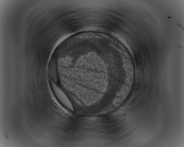 X0000097481045200803201505