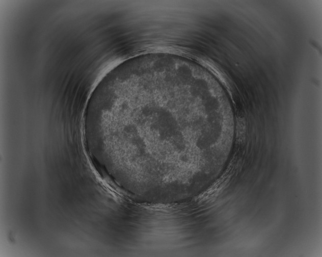 X0000097481048200803201505