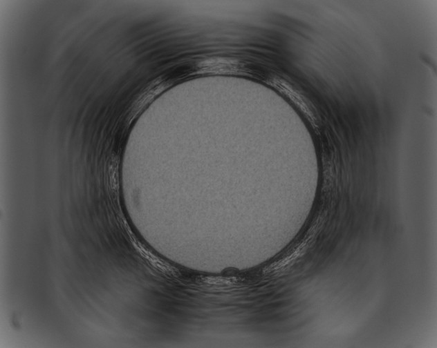 X0000097481049200803201505