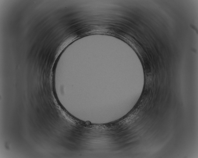 X0000097481050200803201505