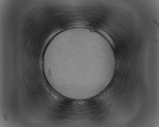 X0000097481051200803201505