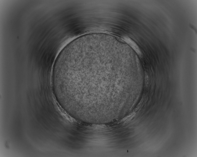 X0000097481052200803201505