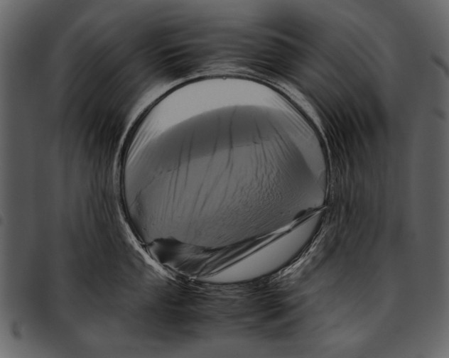 X0000097481053200803201505