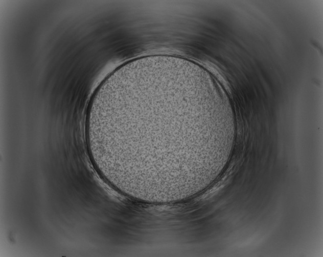 X0000097481054200803201505