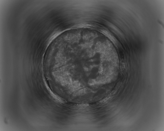 X0000097481055200803201505