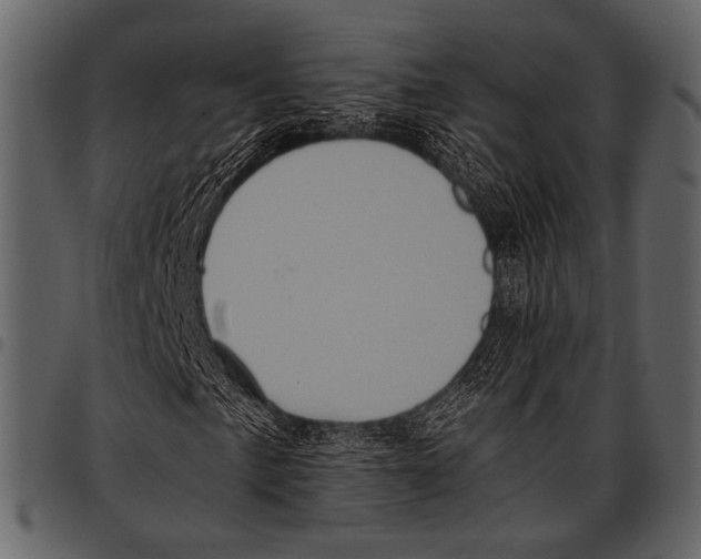 X0000097481057200803201505