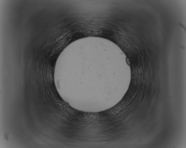 X0000097481058200803201505