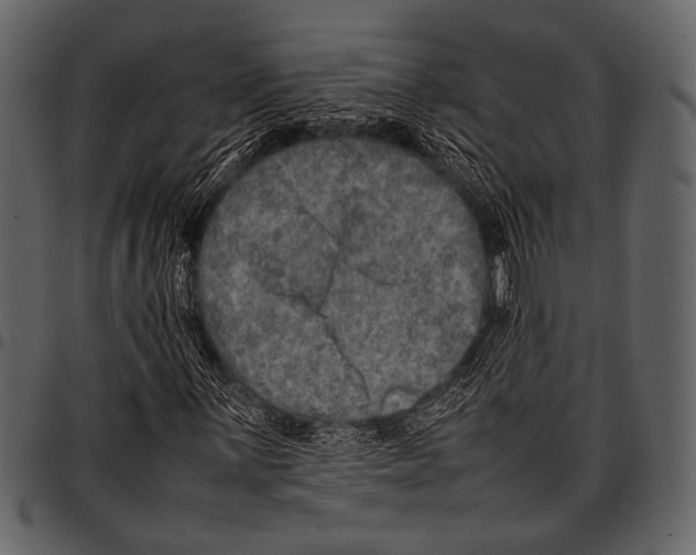 X0000097481059200803201505