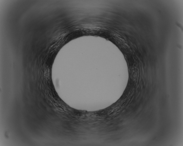 X0000097481061200803201504