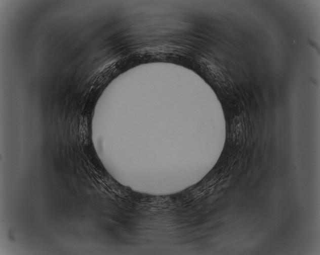 X0000097481062200803201504