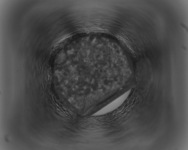 X0000097481063200803201504