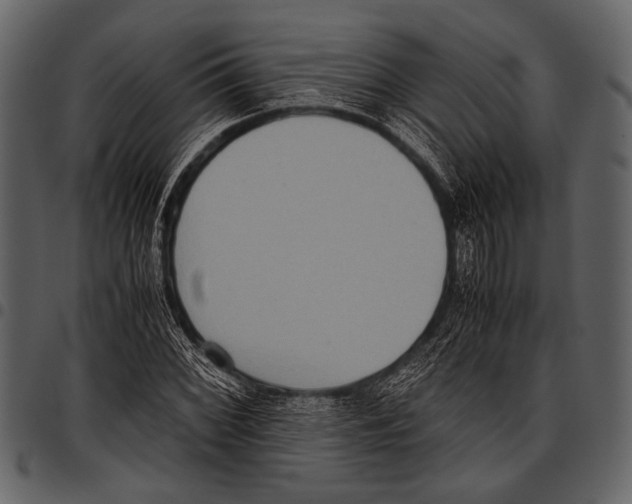 X0000097481068200803201504