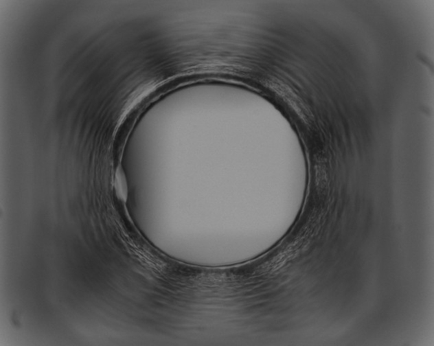 X0000097481069200803201504