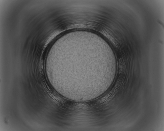 X0000097481070200803201504