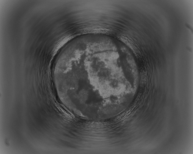 X0000097481071200803201504