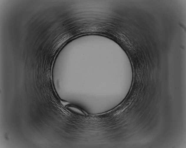 X0000097481073200803201504