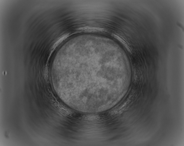 X0000097481074200803201504