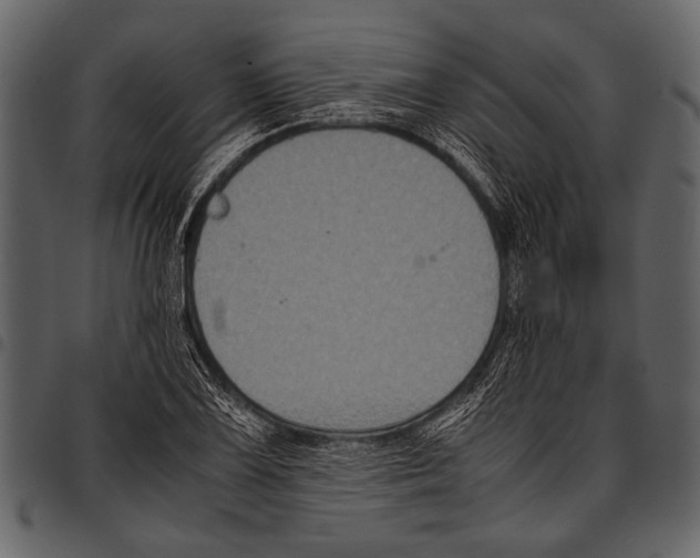 X0000097481075200803201504