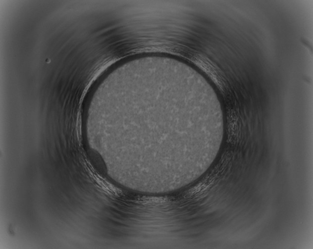 X0000097481076200803201504