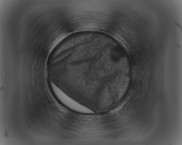 X0000097481077200803201504