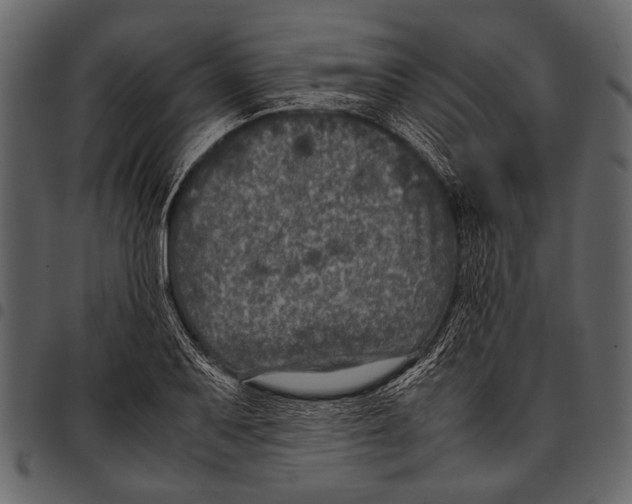 X0000097481079200803201504