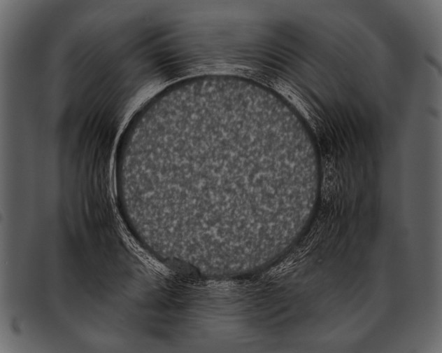 X0000097481080200803201504