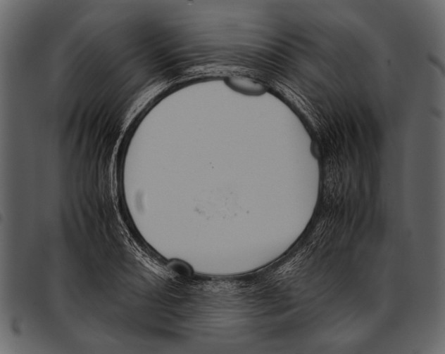 X0000097481082200803201504