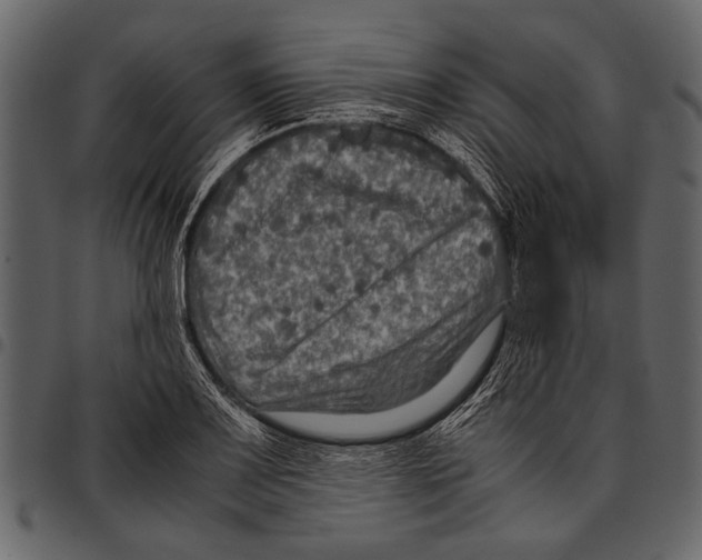 X0000097481083200803201504