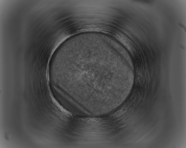 X0000097481084200803201504