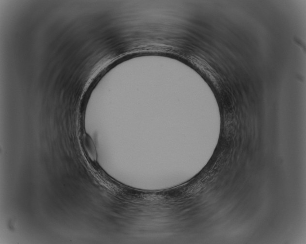 X0000097481085200803201504