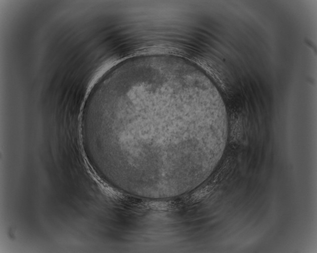 X0000097481086200803201504