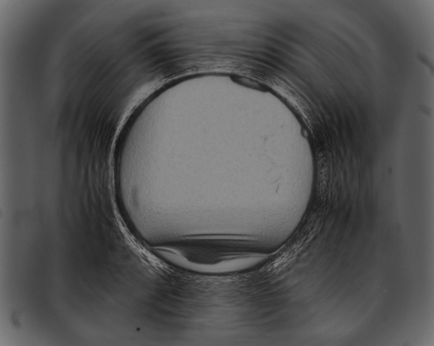 X0000097481088200803201504