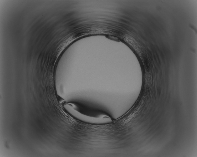 X0000097481089200803201504