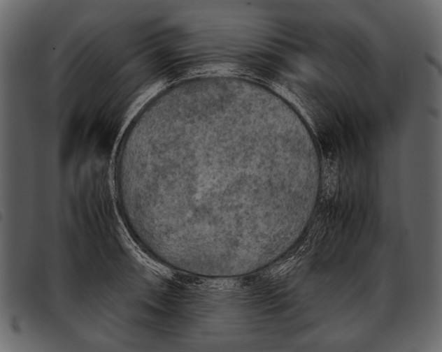 X0000097481090200803201504