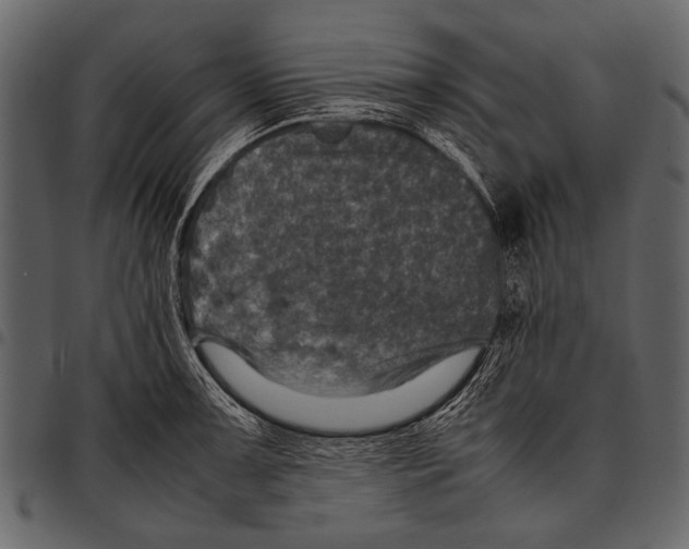 X0000097481091200803201504