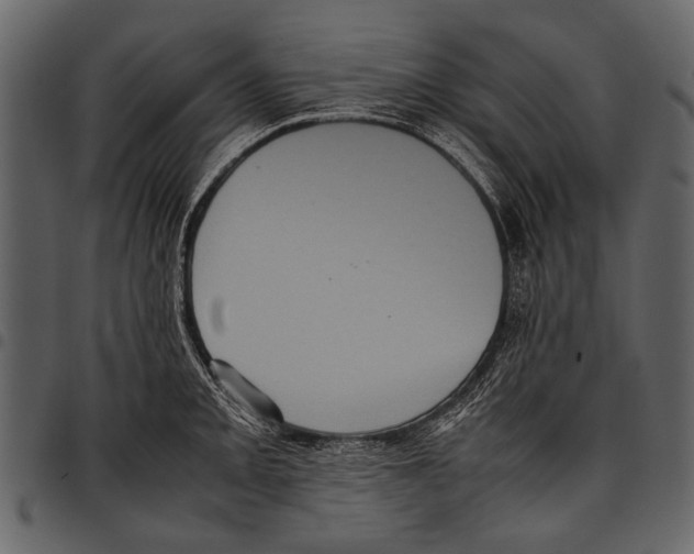 X0000097481093200803201504