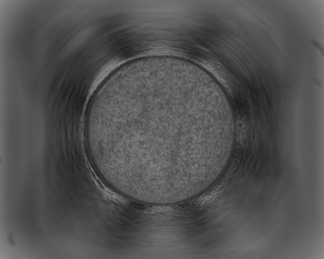 X0000097481094200803201504