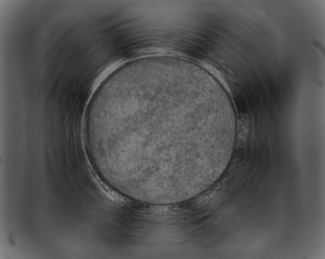 X0000097481098200803201504