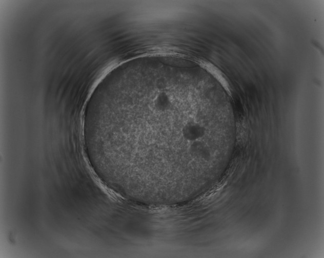 X0000097481099200803201504