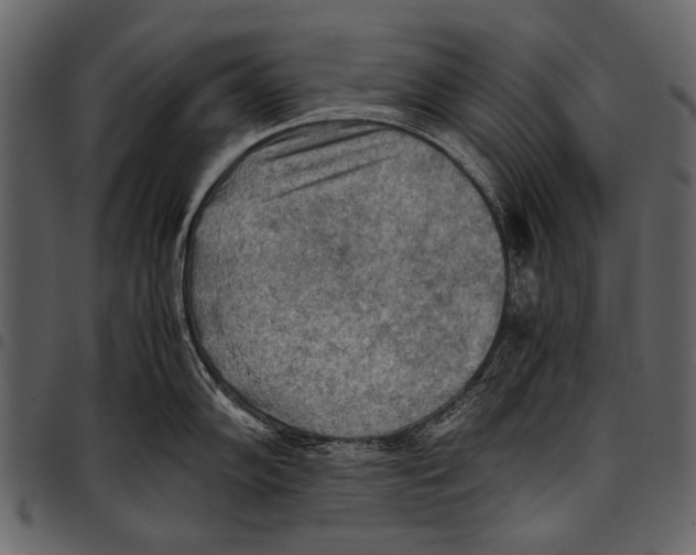 X0000097481102200803201504