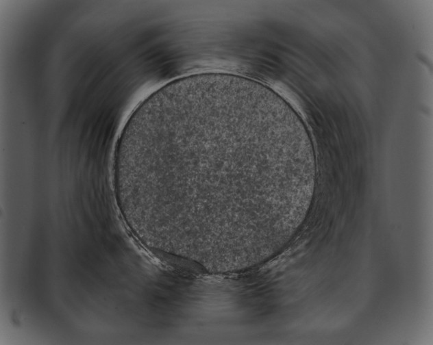 X0000097481104200803201504