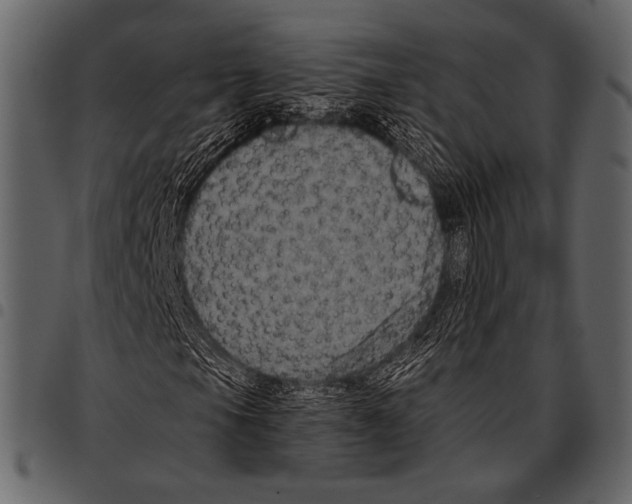 X0000097481105200803201503